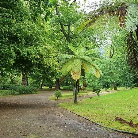 Holiday home Casa Dona Beatriz *