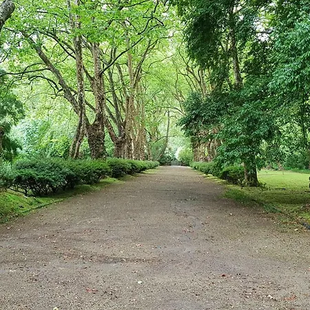 Casa Dona Beatriz فورناس