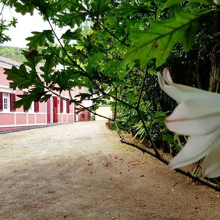 Casa Dona Beatriz بيت للعطل