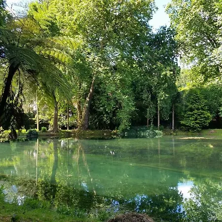 Casa Dona Beatriz بيت للعطل فورناس